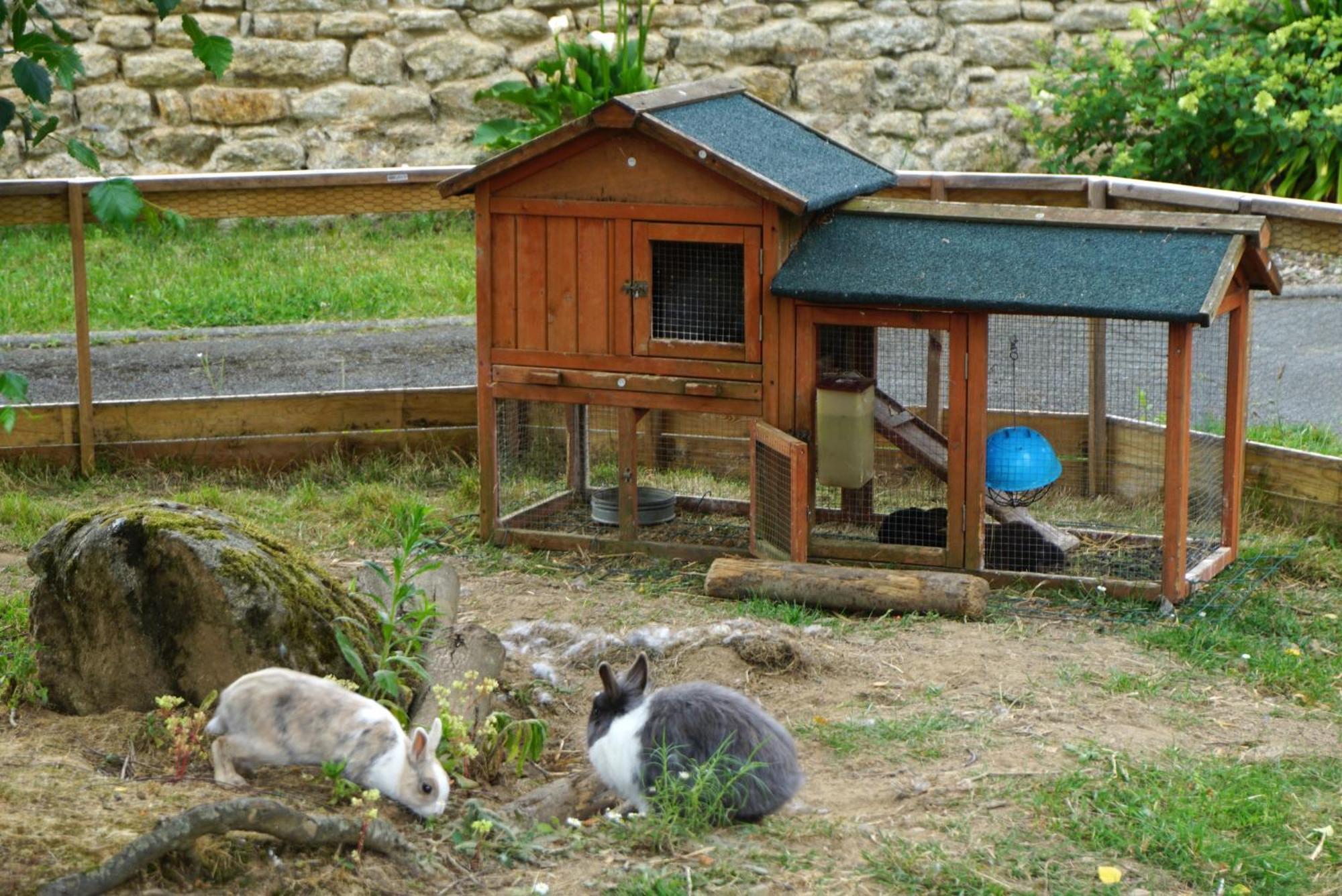 Auberge Ti'Gousket 甘冈 外观 照片